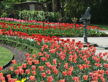 Jardin des Plantes Elite Le Mans Escorts