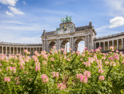 Parc du Cinquantenaire Top VIP Escorts in Brussels