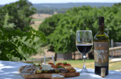 Exclusive Wine Tasting and Vineyard Tour