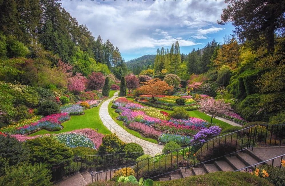 The Butchart Gardens Elegant VIP Victoria Escorts