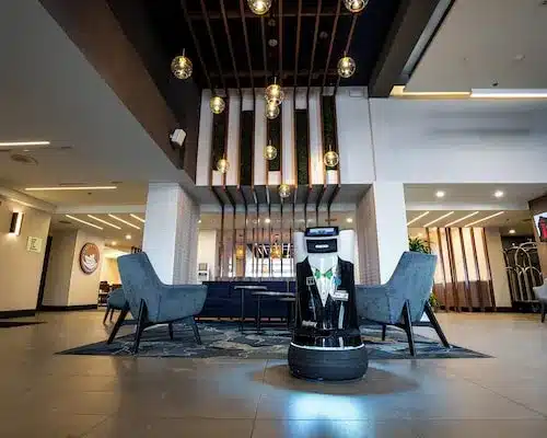 Luxury Hotels in Kingston​ Refined VIP Kingston Escorts