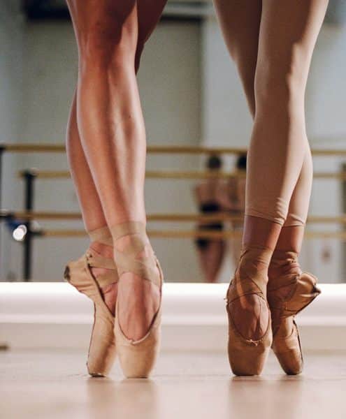 GFE escorts at their finest with Mynt Models