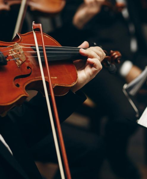 VIP event escorts are elite companions for social occasions