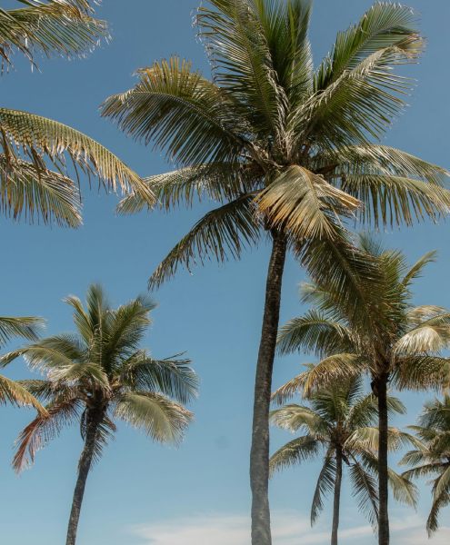 Authentic GFE companionship for discerning gentlemen.