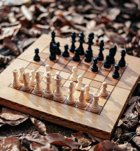 Carefully selected women, curated elite escort experiences.