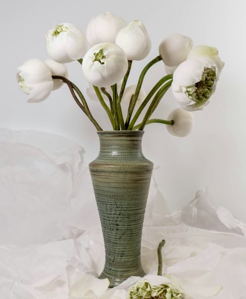 Elite dinner companion selection; a dining perfect match at Mynt Models