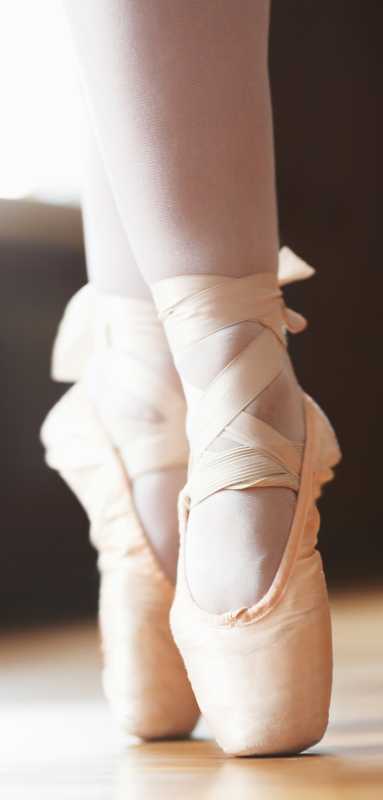 Mynt Models, providing exclusive luxury travel, fine dining, and elite companion opportunities