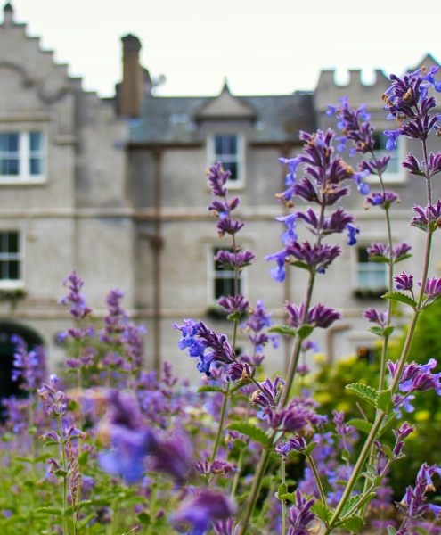 Elite GFE Explained: Luxury, Discreet & Travel Companions 9 Refined girlfriends for an exclusive experience at Mynt Models